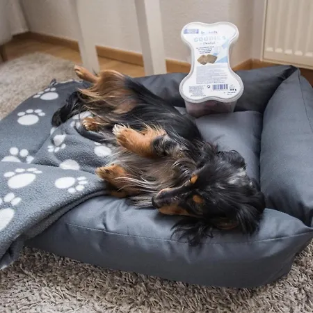 Hotel Schwiizeralp & Restaurant 3*