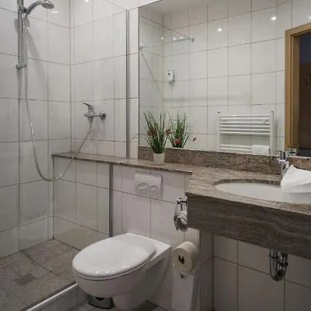 Schwiizeralp & Restaurant Hotel 3*
