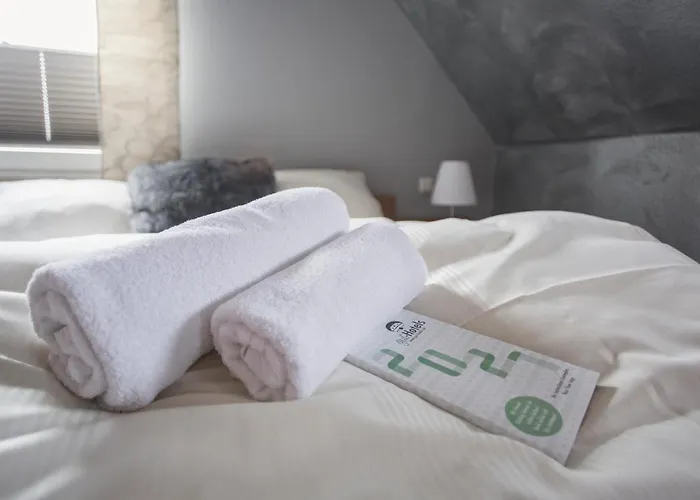 Schwiizeralp & Restaurant Hotel 3*