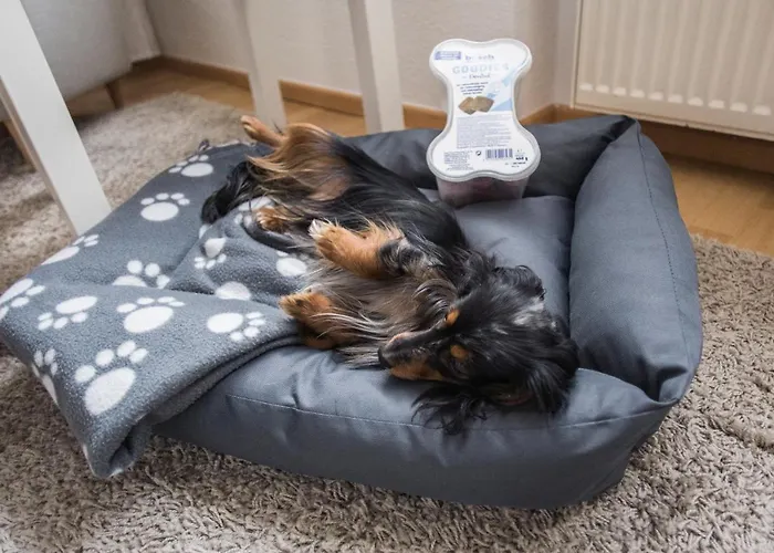 Hotel Land-gut-hotel Meyer-pilz 3*